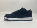 Nike SB Dunk Low Wasted Youth Reps Sneaker DD8386-001