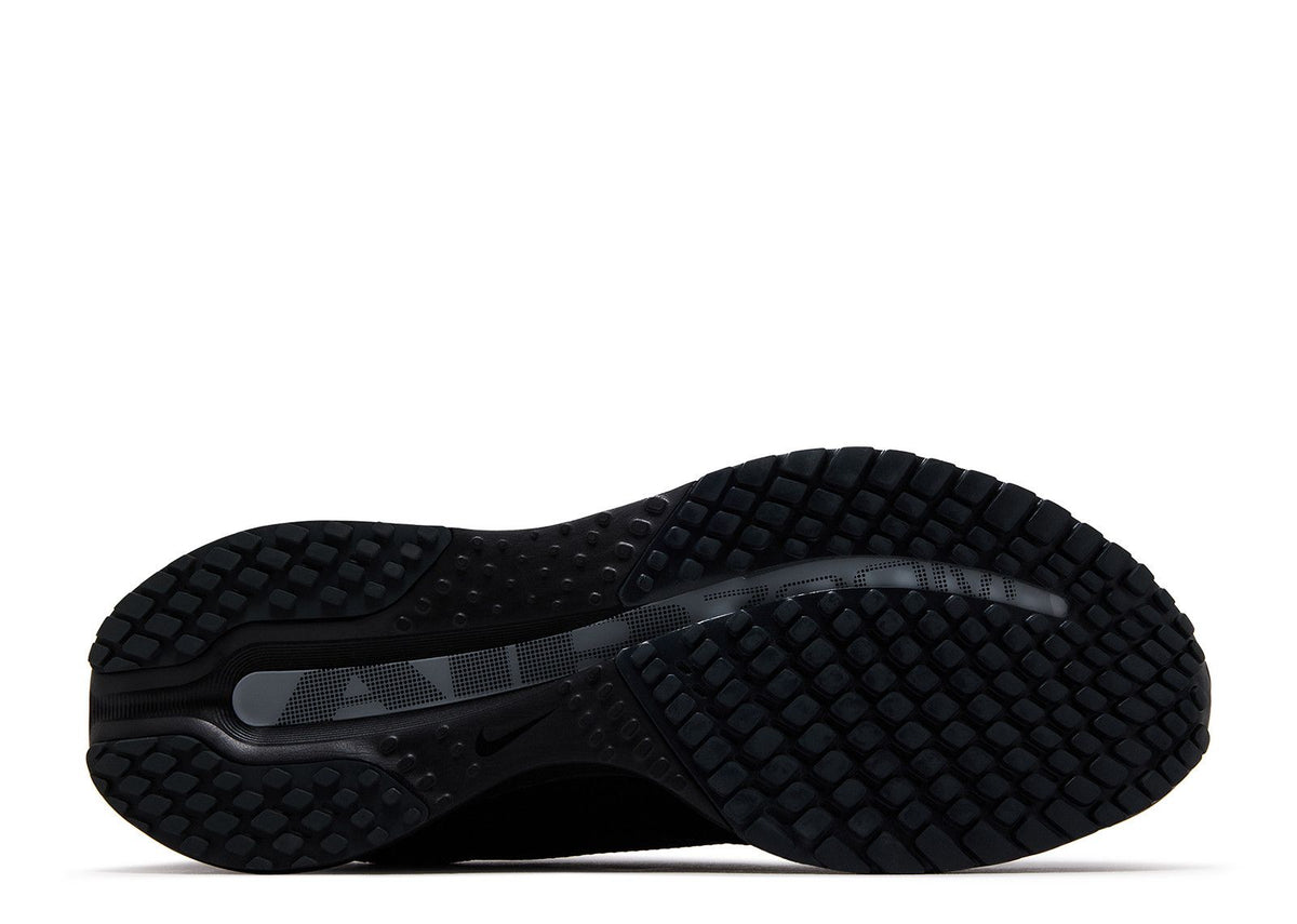 Nike Pegasus Premium SP 'Black Metallic Silver' (IH4369-001)