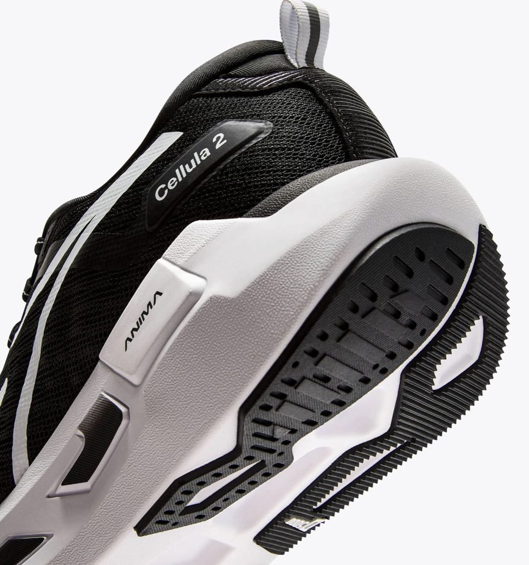 Men's Cellula 2